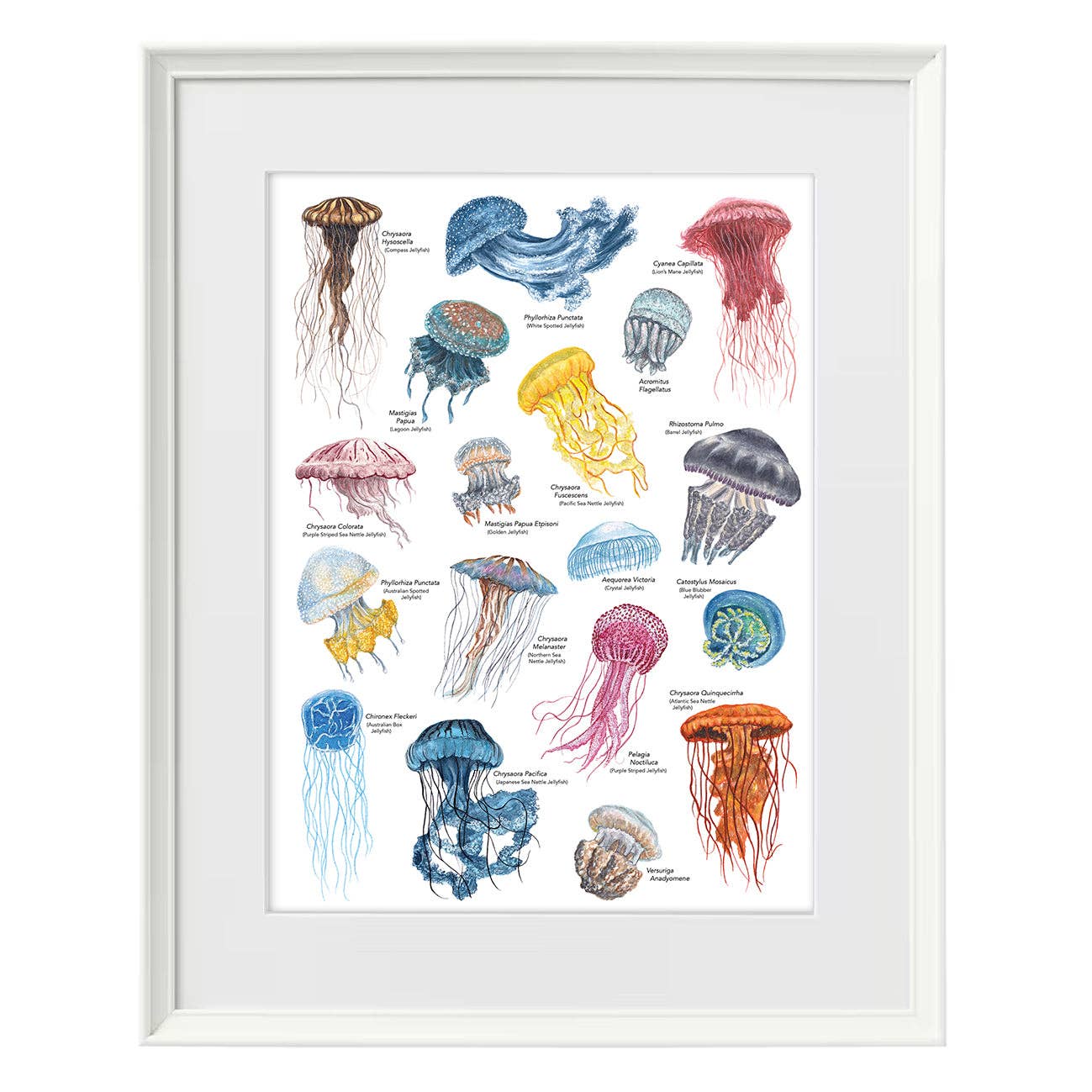 Lucy Locks Art - Wholesale Art Print - Jellyfish A3 Print8