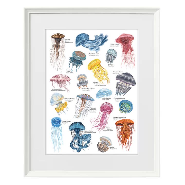 Lucy Locks Art - Wholesale Art Print - Jellyfish A3 Print8
