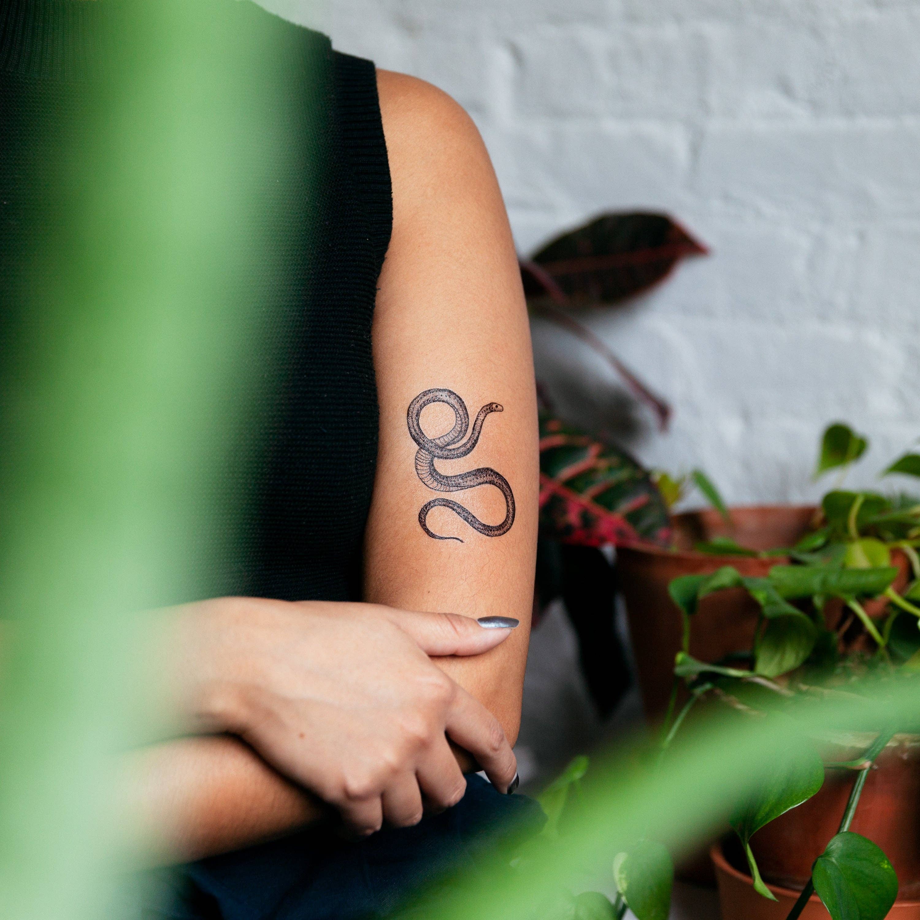 Tattly - Vente Tatouages temporaires - Set de tatouage Flore et Faune2