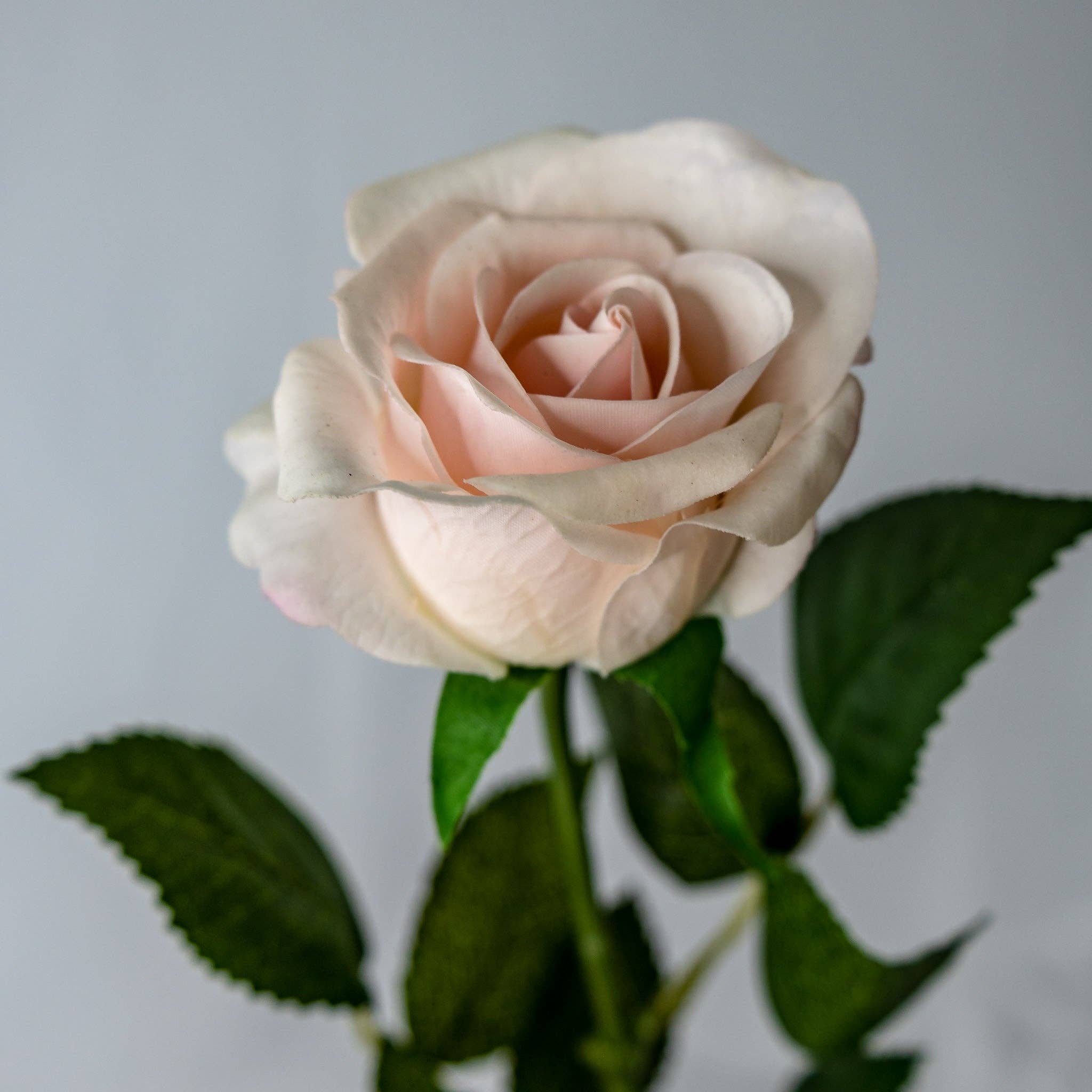 Realistic Artificial Flowers - Wholesale Artificial Flowers - Light Pink Real Touch Rose - Half Bloom2