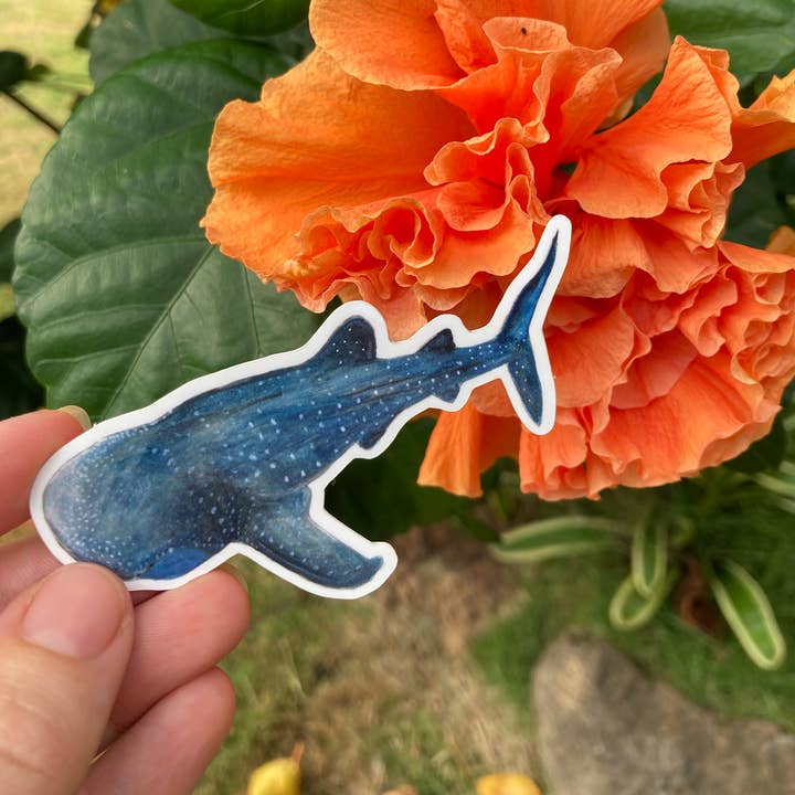 Left Right Design - Wholesale Sticker - Whale Shark Sticker1