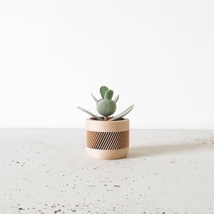 MINIMUM DESIGN – wholesale Kruka – Träkruka inomhus - Beige, Svart, Grön, Mist White - Therma