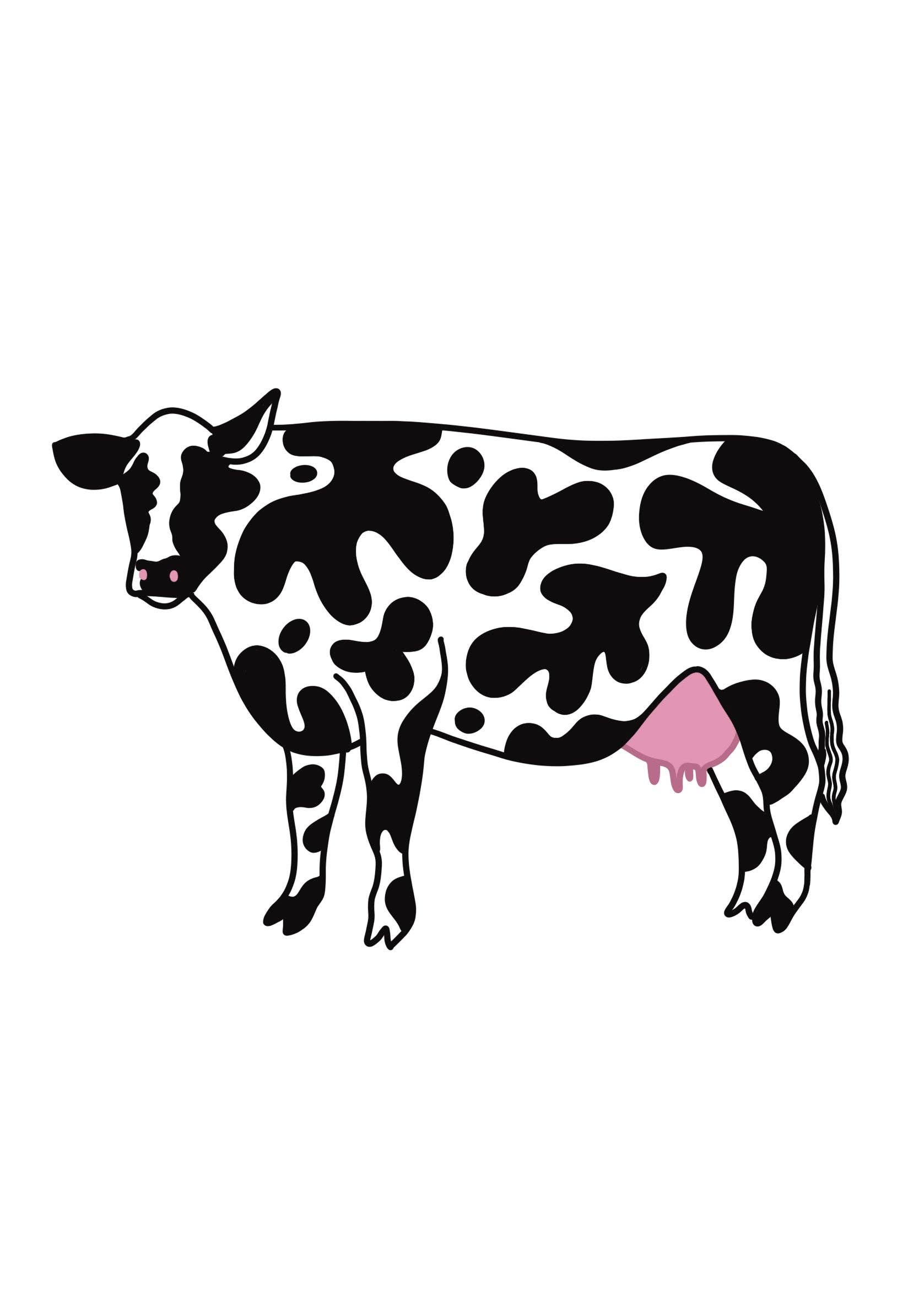 liadelyonart - Wholesale Sticker - Highland Cow Cute Abstract Water Bottle Sticker, Decal1