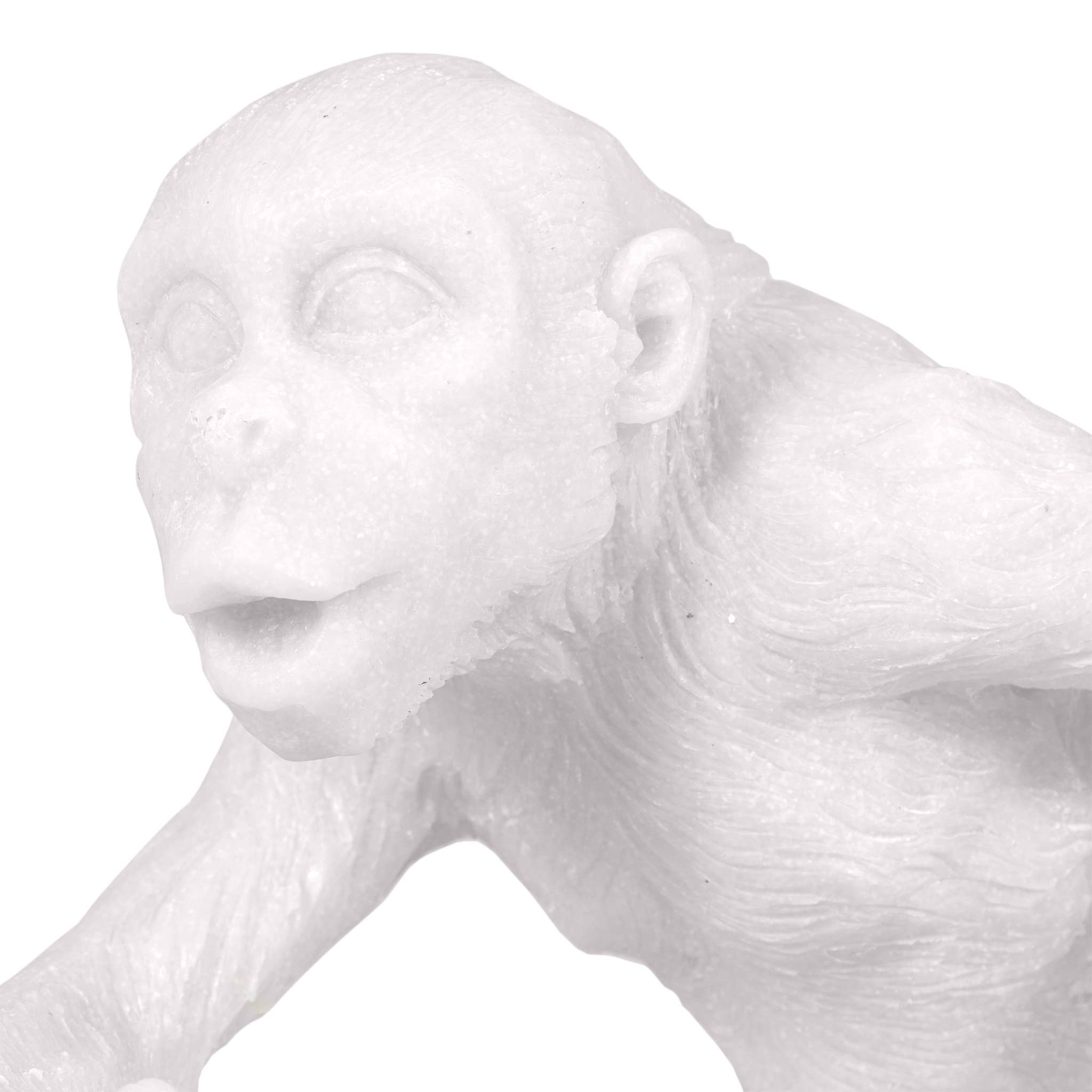 Kavana Decor by The Import Collection - Wholesale Decorative Figurine - Vain Small Monkey Statuary5