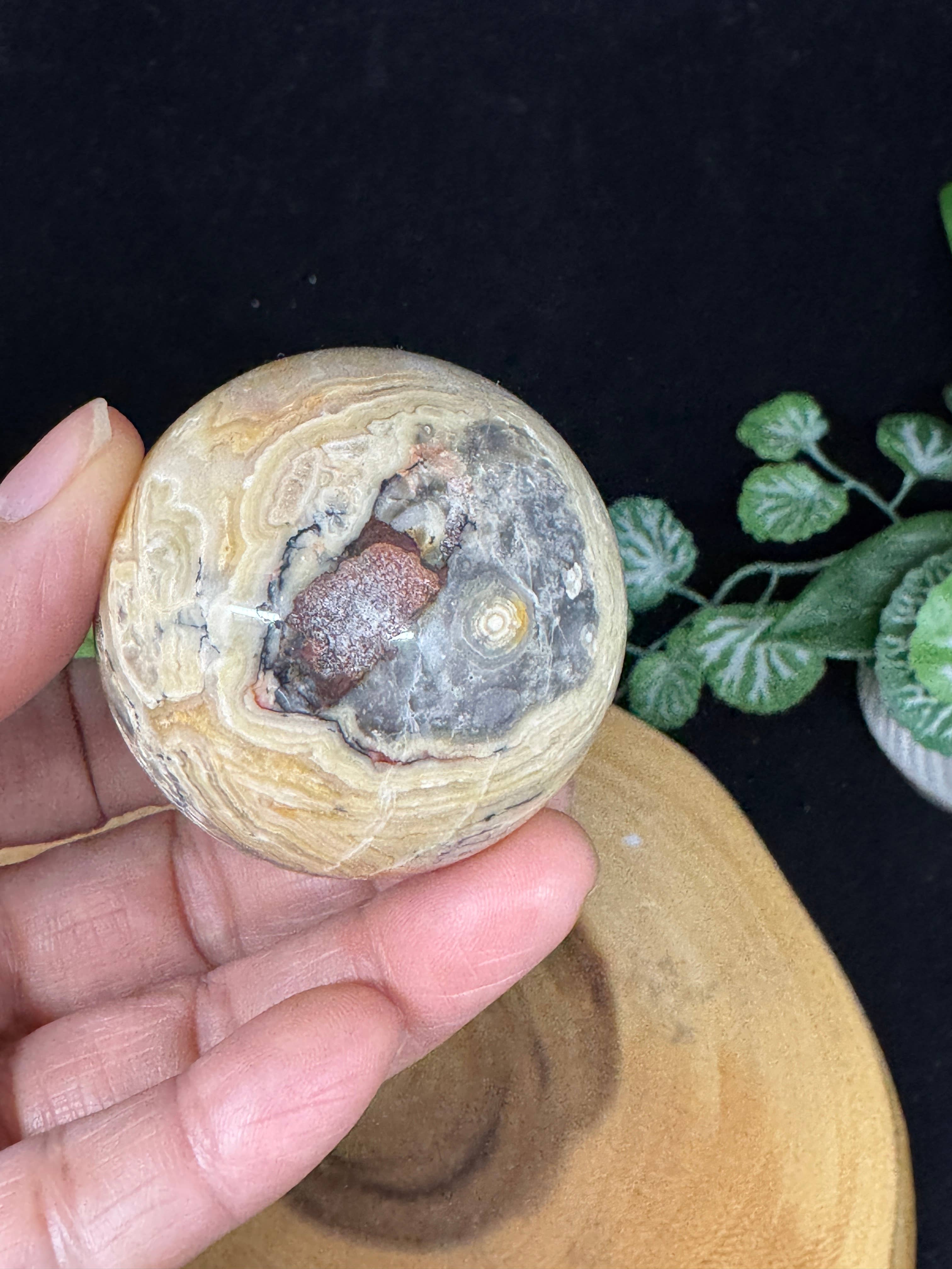 The 7 Directions - Wholesale Spiritual Stone/Crystal - 7 pc Mica Iolite fire quartz sphere w/ display stand G99611