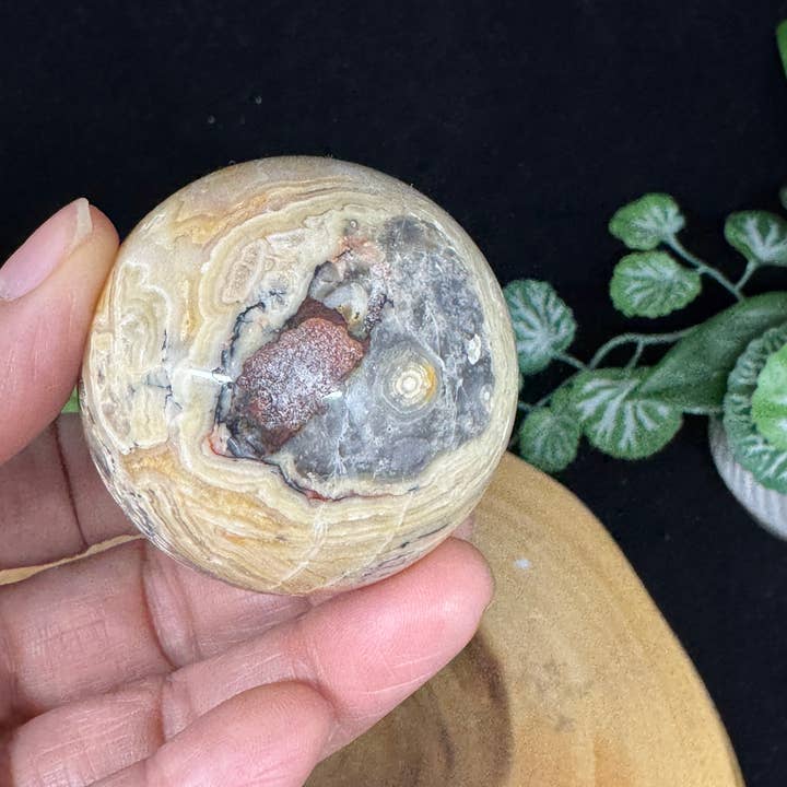 The 7 Directions - Wholesale Spiritual Stone/Crystal - 7 pc Mica Iolite fire quartz sphere w/ display stand G99611