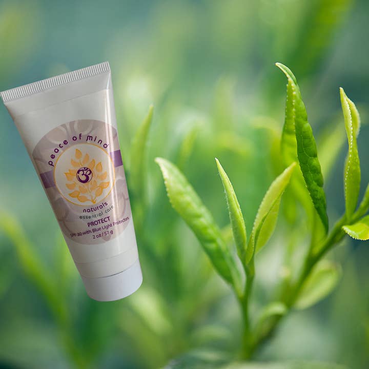 PROTECT for wholesale by Peace of Mind Skin Care