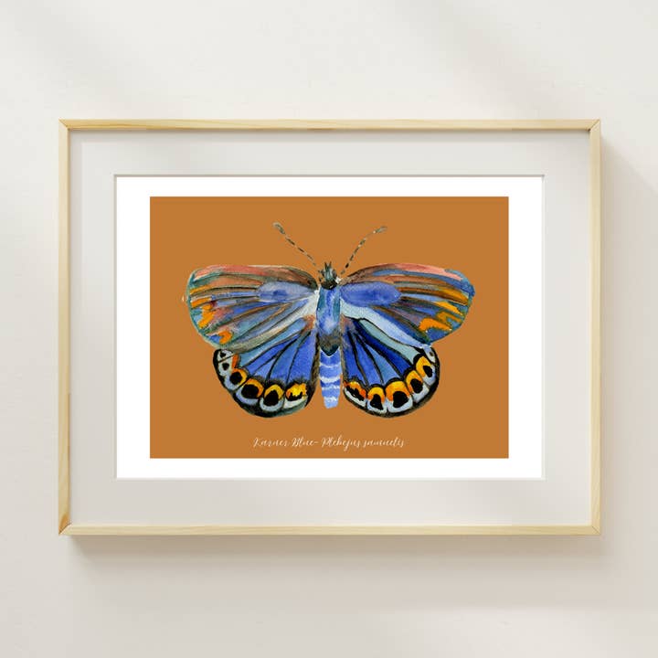 Impression de Papillon Bleu Karner pour la vente par Wild Botanical Atelier