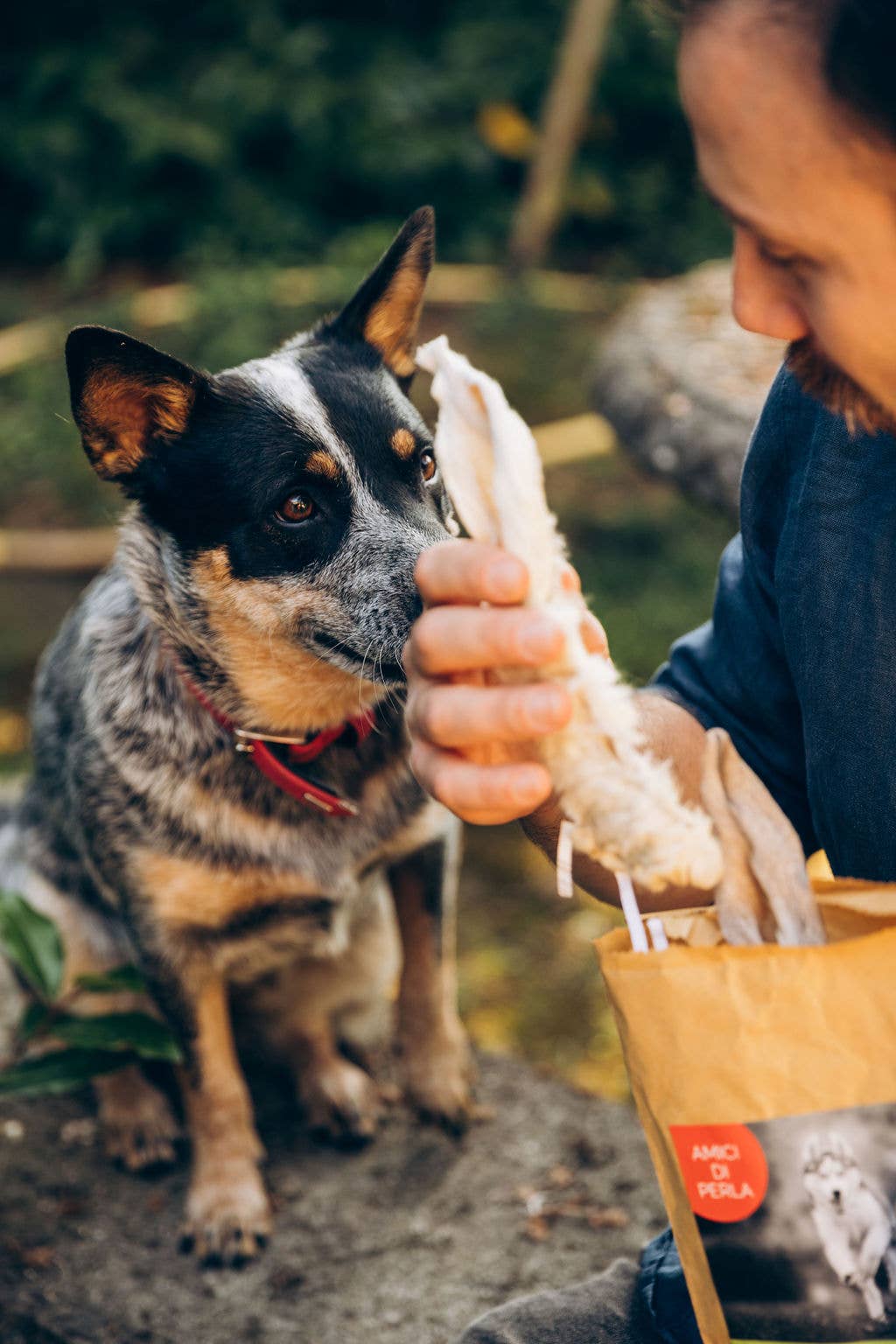 Perla PetFood - Wholesale Pet Treats - Dog - Snack BARF Rabbit Ears with Fur 100% Made in Italy.1