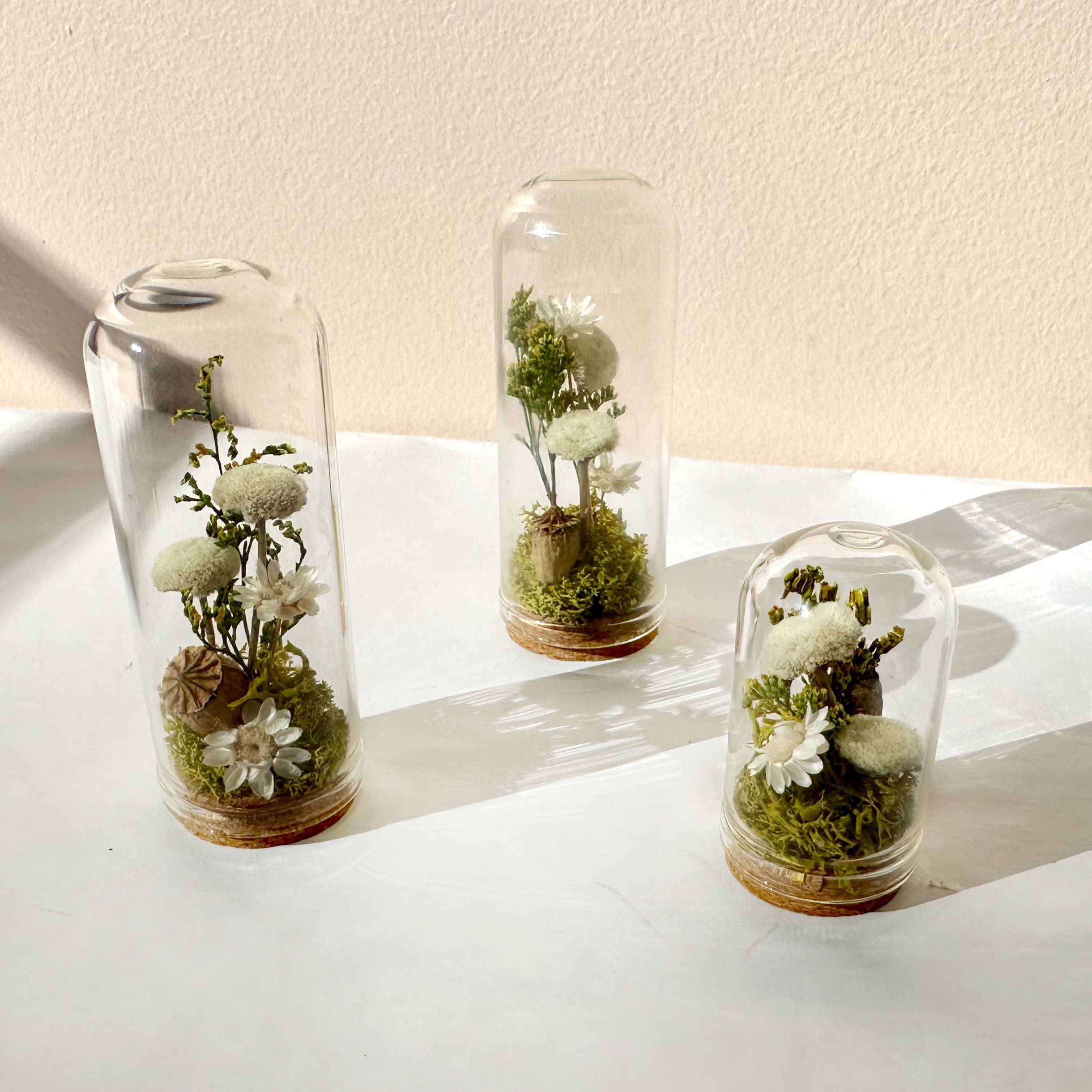 CA Studios - Wholesale Terrarium - Flower Forest Mini Glass Cloche Terrarium w. Dried Florals8