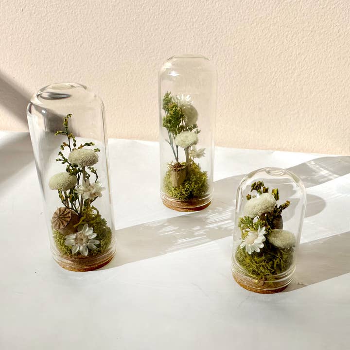 CA Studios - Wholesale Terrarium - Flower Forest Mini Glass Cloche Terrarium w. Dried Florals8
