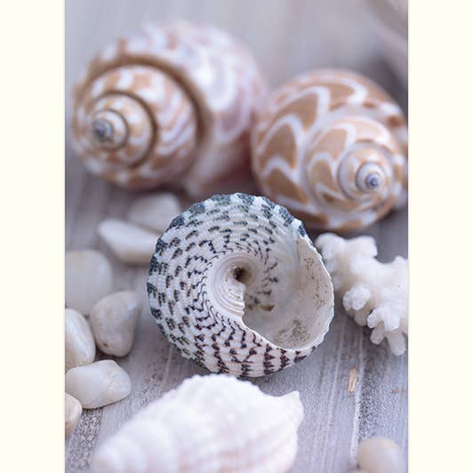 Howard Shooter and Lauren Floodgate - M44725 for wholesale by The Art Group