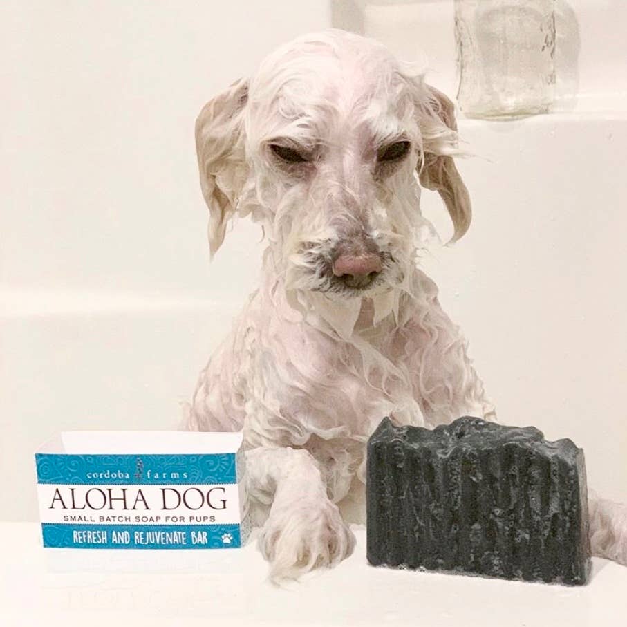 Cordoba Farms – wholesale Pet soap – Dog – ALOHA DOG Rejuvenating Bar1