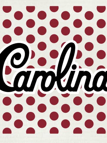 University of South Carolina 2 Swedish Cloth for wholesale by Wet-it!