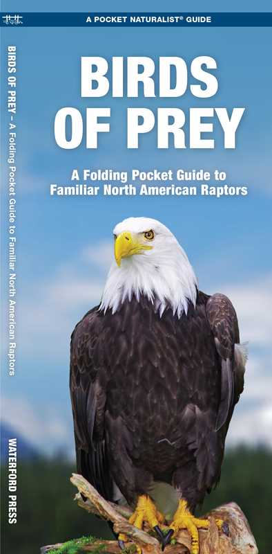 Simon & Schuster - Wholesale Nature & Outdoors - Birds of Prey by James Kavanagh0