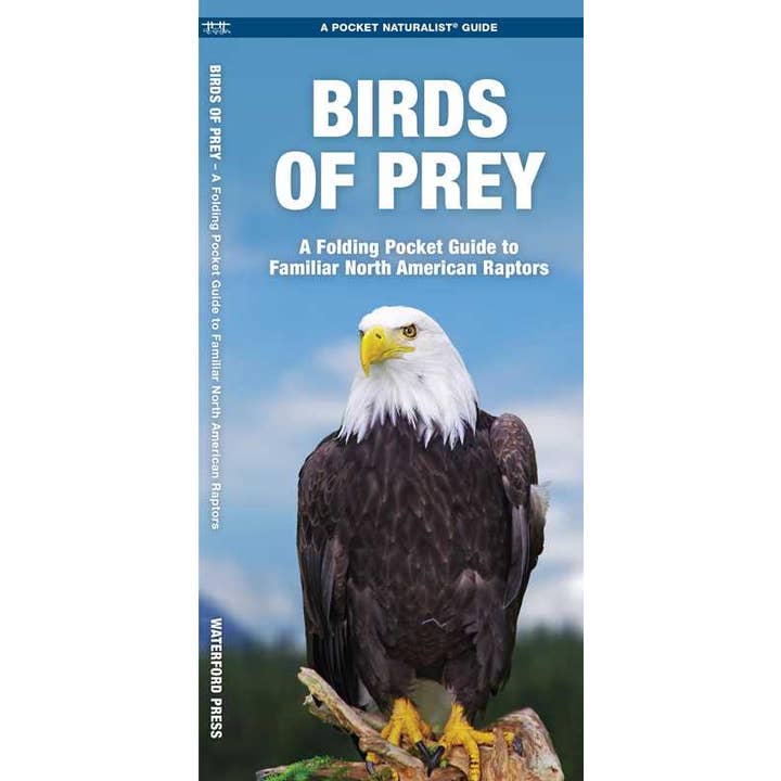 Simon & Schuster - Wholesale Nature & Outdoors - Birds of Prey by James Kavanagh
