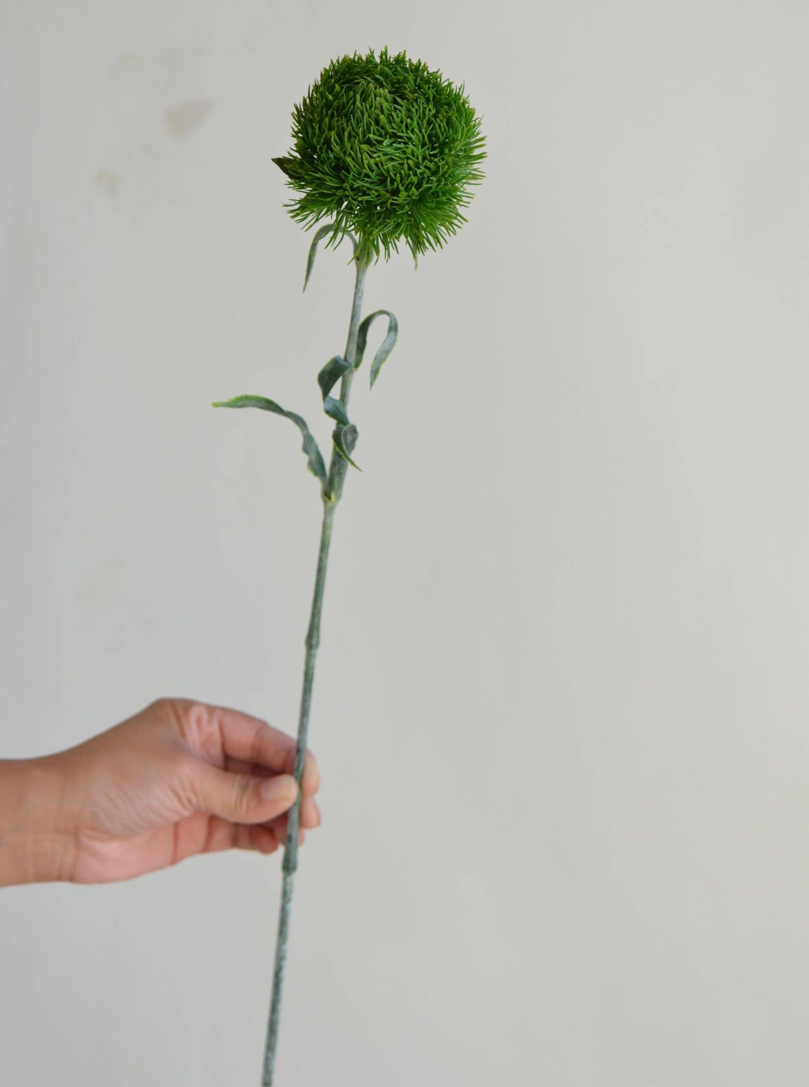 Angel Isabella - Wholesale Kunstbloemen - 21,5" Realistische Kunstmatige Dianthus Groene Bal Verse Groene Steel4