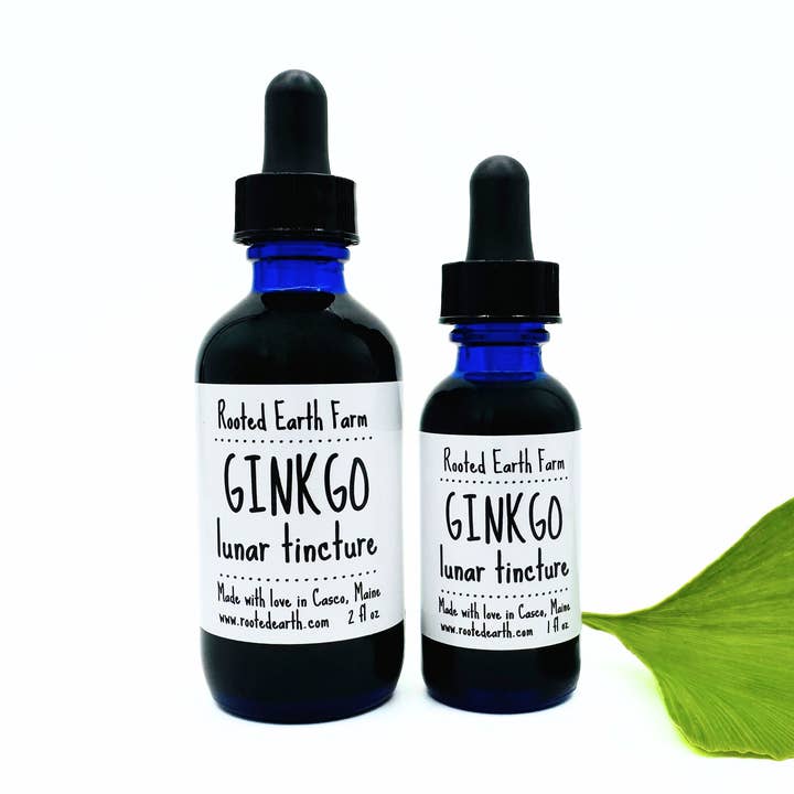 Ginkgo Tincture - 2 Size Options for wholesale by Rooted Earth Farm + Apothecary