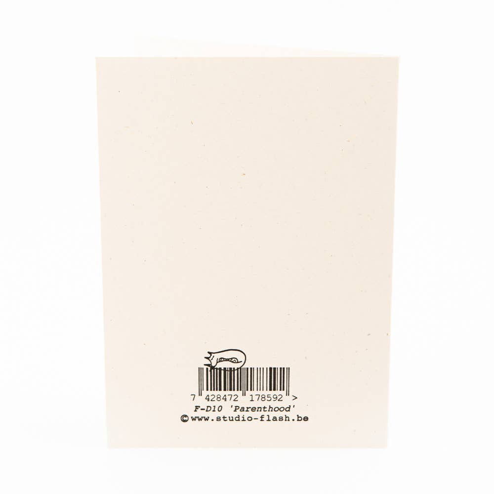 Studio Flash - Wholesale Baby Card - F-D10 ‘Parenthood’ 1