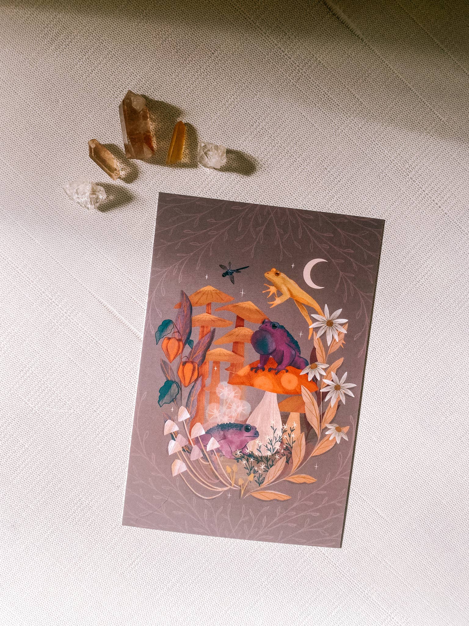 Lantern Print Co. - Wholesale Art Print - Art Print: Toads & Toadstools; 5x7, 8x10, 4x61