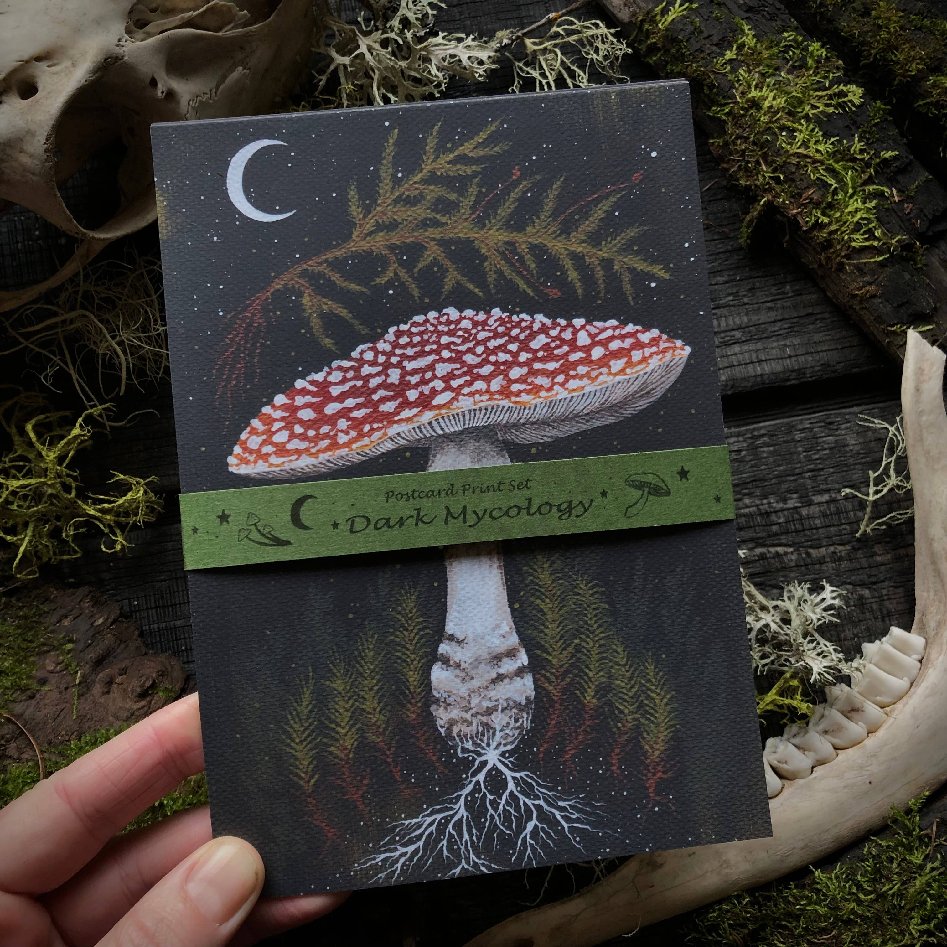 Up Moss Creek Studio - Wholesale Postcard Set - Dark Mycology Postcard Set (6)1