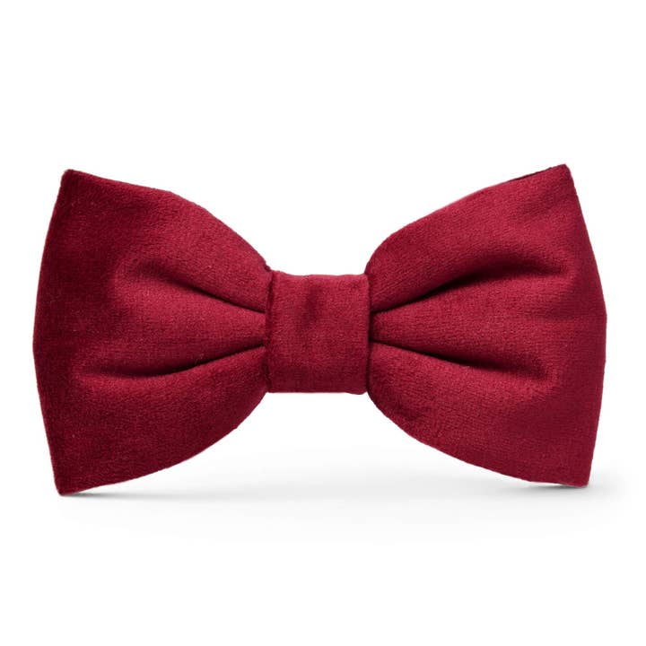 Burgundy Velvet Dog Bow Tie for wholesale by The Foggy Dog