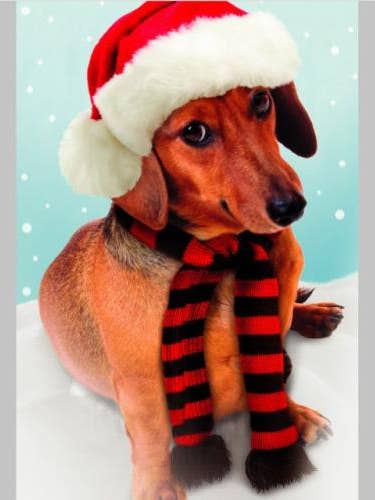 Christmas General | AGRP | SM | RX06808303R for wholesale by DICKENS INC.