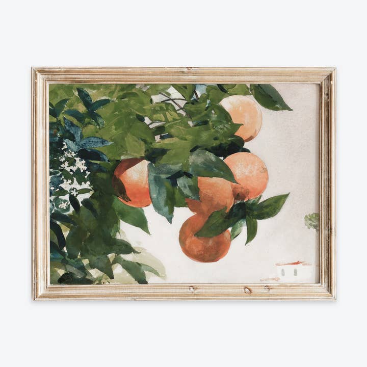 Vintage Oranje Fruit Keuken Stilleven Kunstprint VP427 voor wholesale door Sugar & Canvas