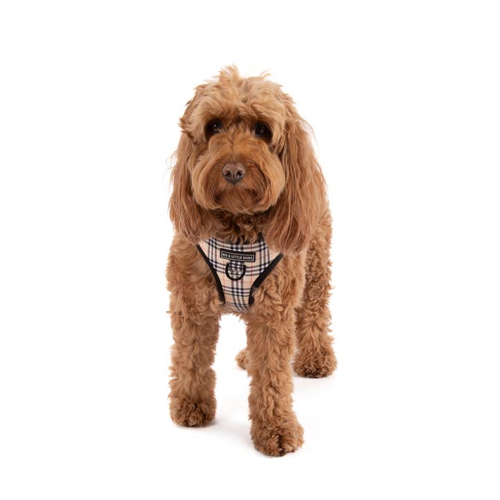 Big and Little Dogs - Wholesale Pet Harness - Dog - ADJUSTABLE DOG HARNESS: Nova Plaid