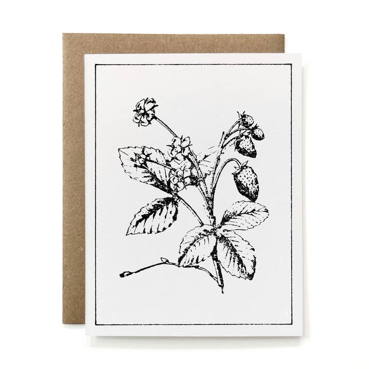 100% Recycled B&W Botanical Card - Strawberry Plant for wholesale by Knapping Press