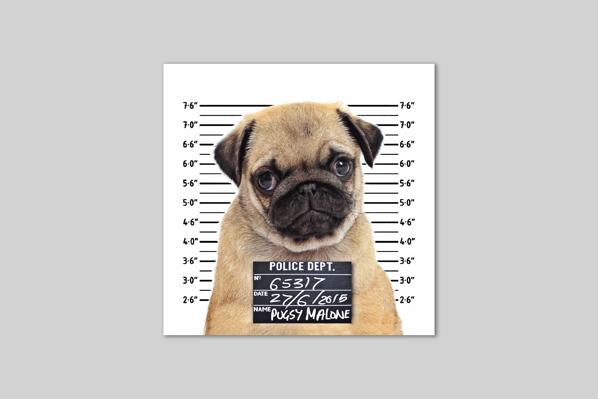 Icon - Wholesale Everyday Greeting Card - Pugsy Malone Greeting Card0