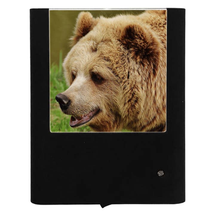 Ours Marron pour la vente par Nightlight Studio