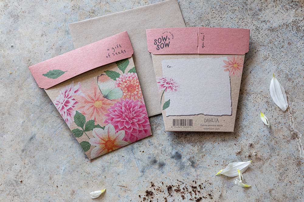 Sow 'n Sow - Wholesale Plant seeds - Dahlia Gift of Seeds (Australia Only)3