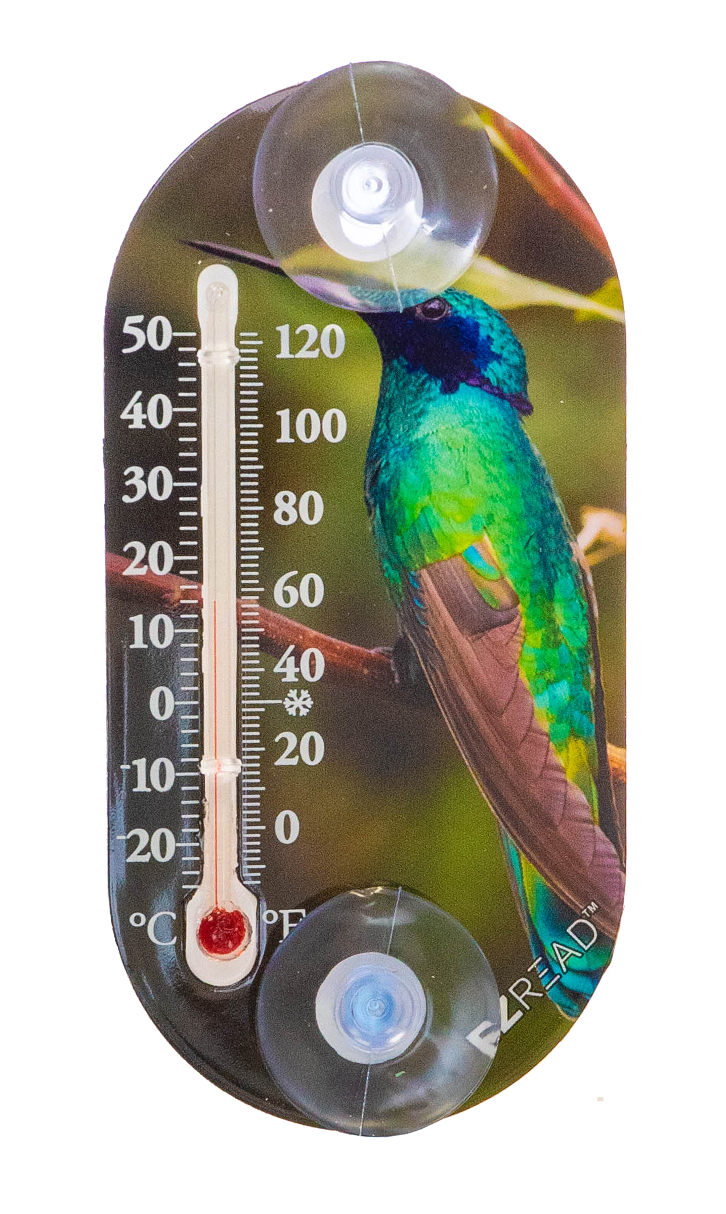 Headwind Consumer Products - Wholesale Thermometer - 12pc Mixed 3.5" Suction Cup Thermomter Asst3