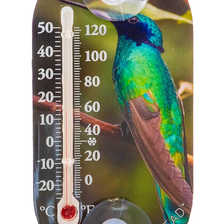 Headwind Consumer Products - Wholesale Thermometer - 12pc Mixed 3.5" Suction Cup Thermomter Asst3