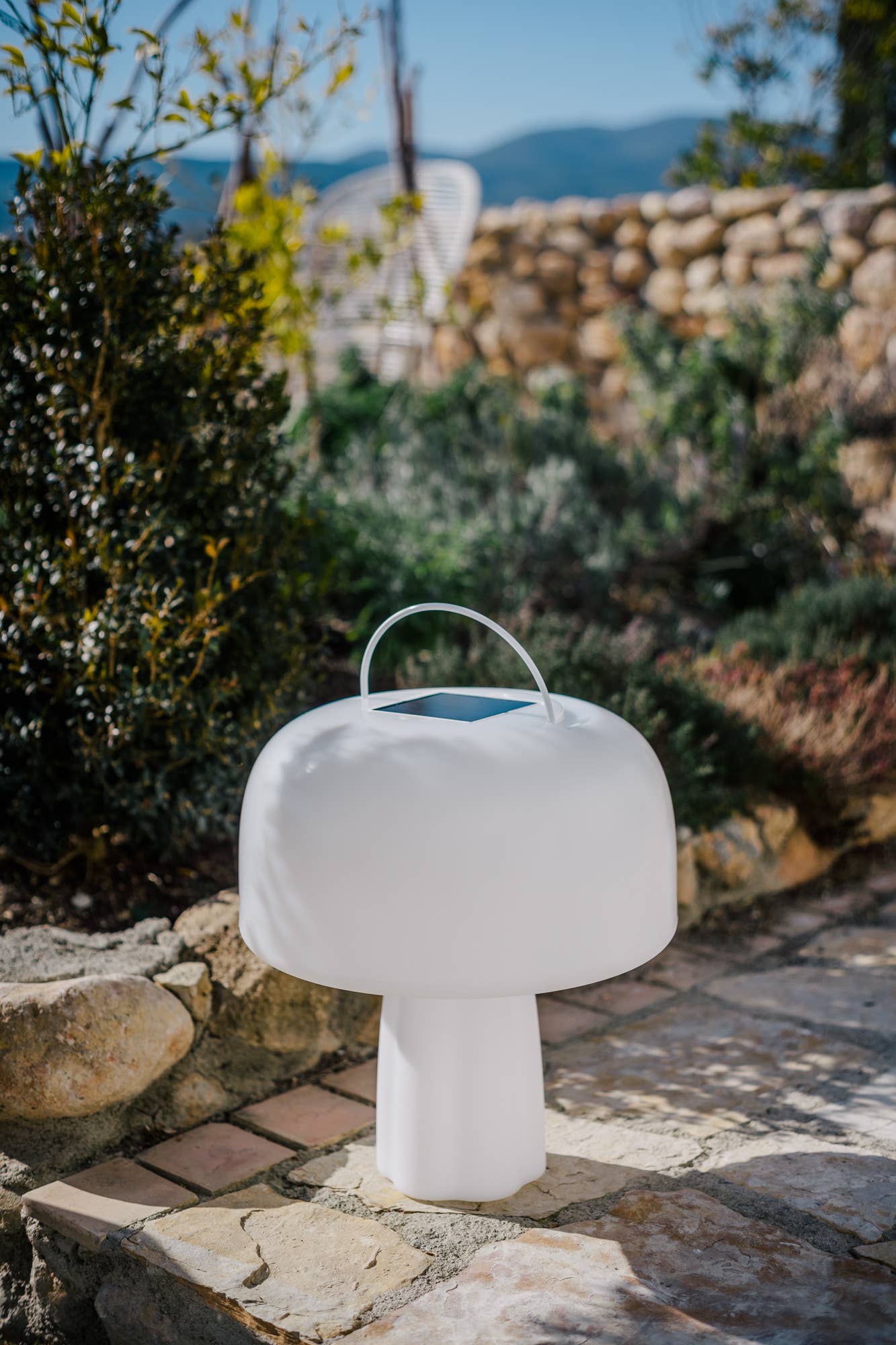 Goodnight Light - Wholesale Accent/Desk Lamp - The Boleti Lamp - Solar powered, portable lamp7