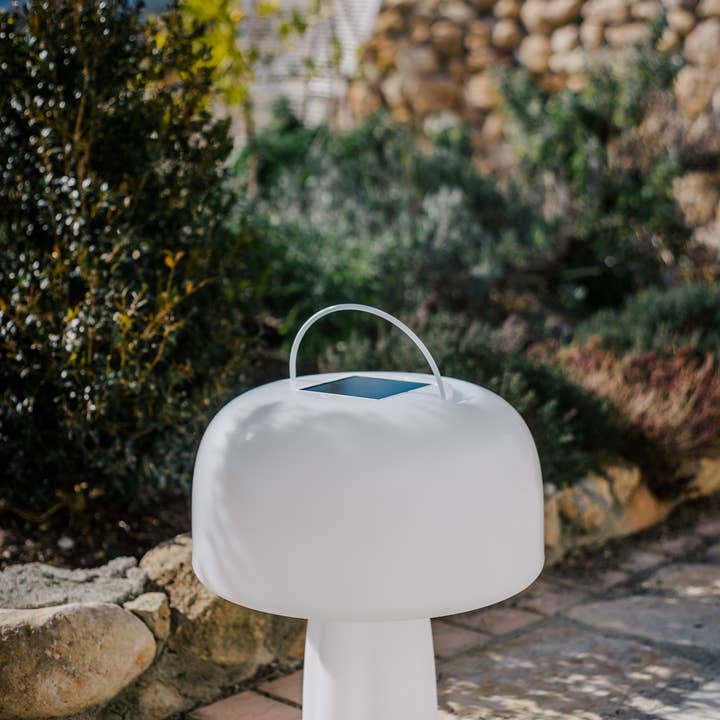 Goodnight Light - Wholesale Accent/Desk Lamp - The Boleti Lamp - Solar powered, portable lamp7