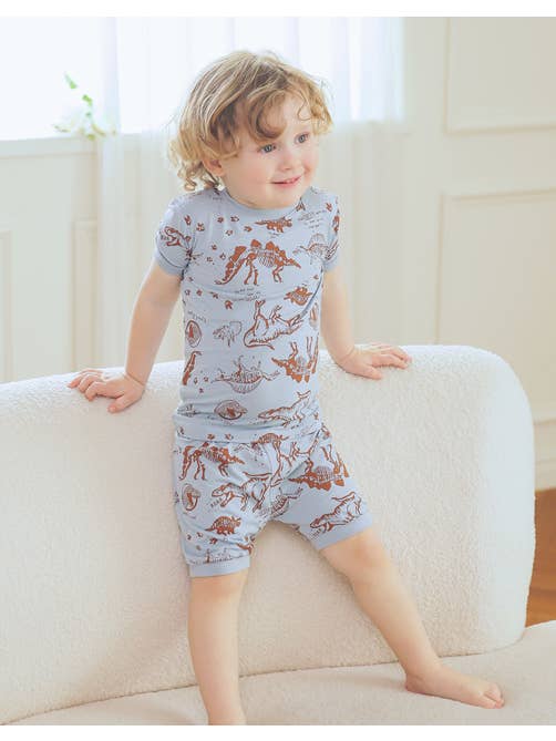 Blue Grey Dinosaur Museum Viscose Short Sleeve PJs for wholesale on Faire3