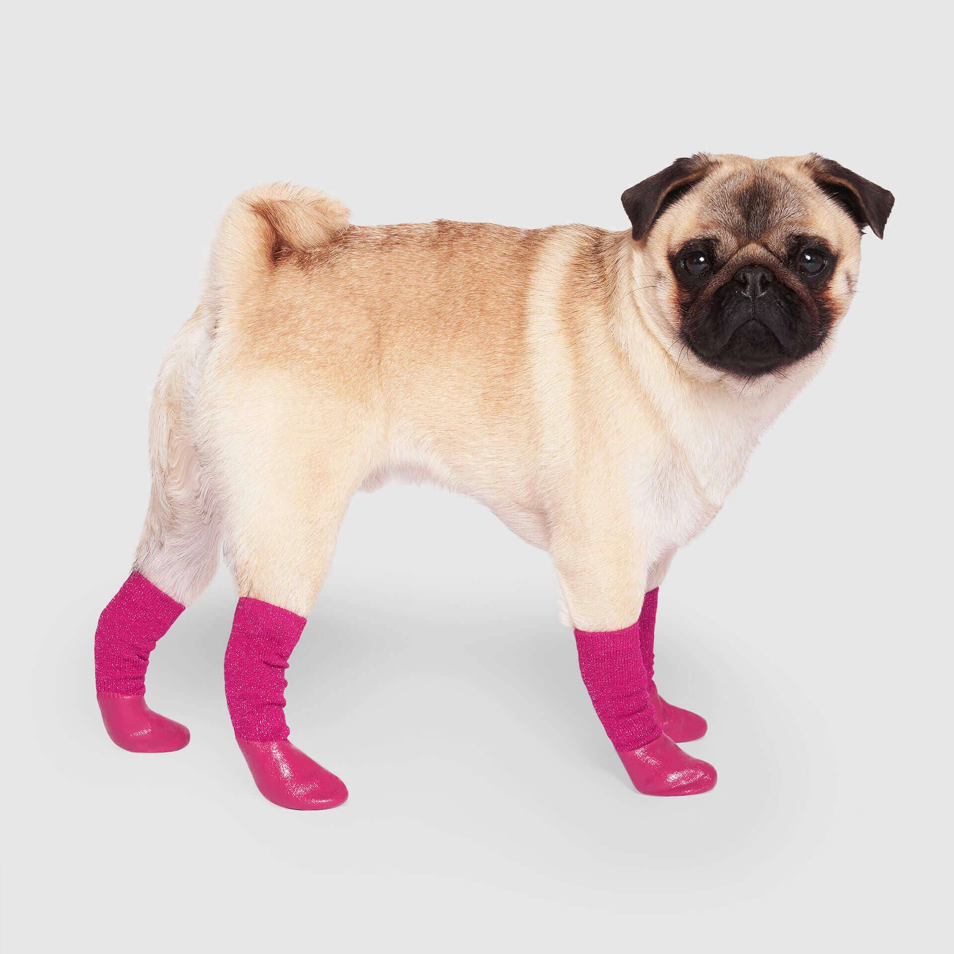 Canada Pooch - Wholesale Pet Socks - Dog - Slouchy Socks- Dog Socks7