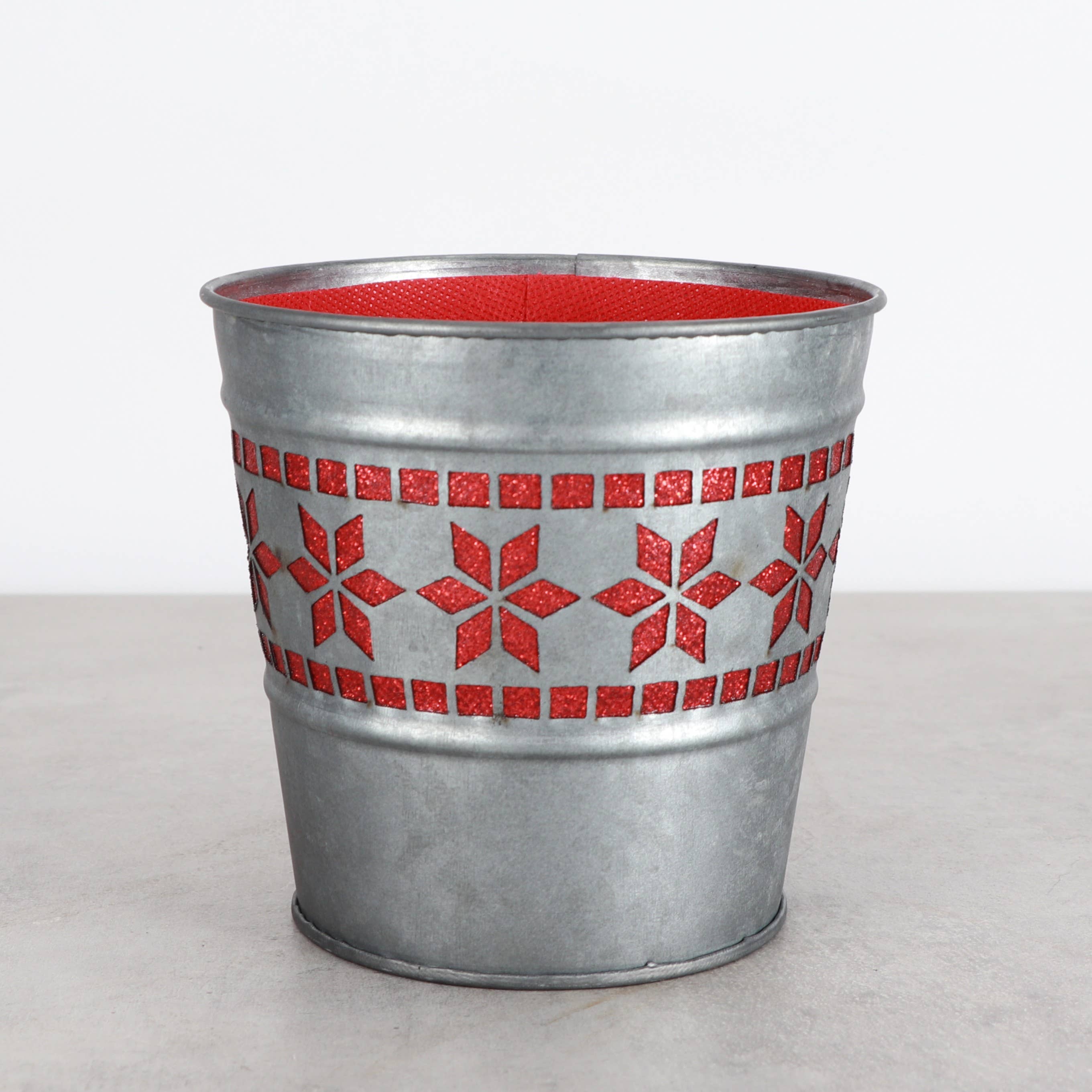 Thorsen's Greenhouse - Wholesale Plant Pot - Winter Star Metal Pot for Houseplants - 4" and 6" Options8