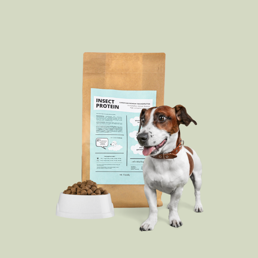 Mr.Foodly – Großhandel Tiernahrung – Hund – SUPERFOOD BOWL INSECT PROTEIN0