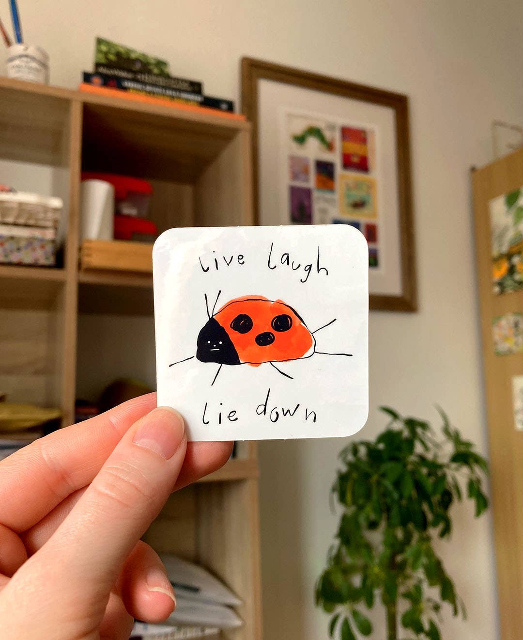 Bronagh Lee - Wholesale Sticker - Ladybug Vinyl Sticker0