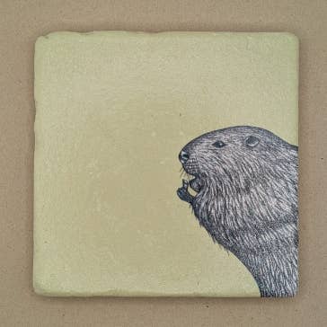 Tegel - Bever voor wholesale door moreydesign | ask a duck
