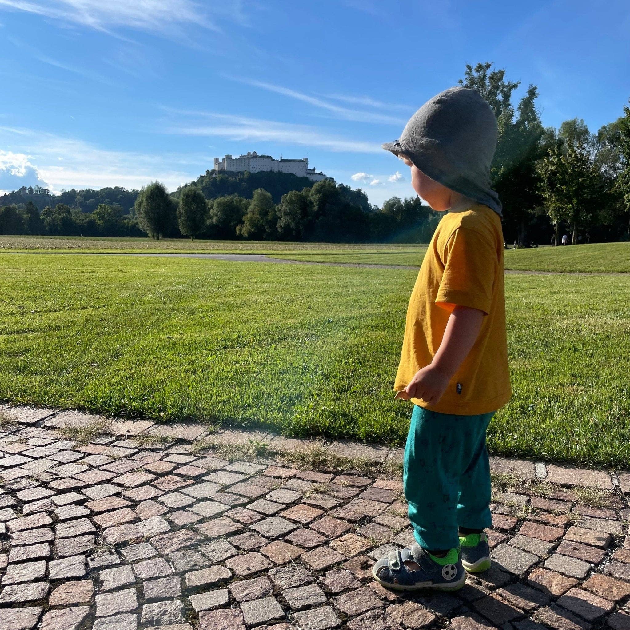 Glückskind - Venta al por mayor Camiseta serigrafiada - Niños - Camiseta amarilla con libélula, lana merino y seda (BIO/GOTS)4