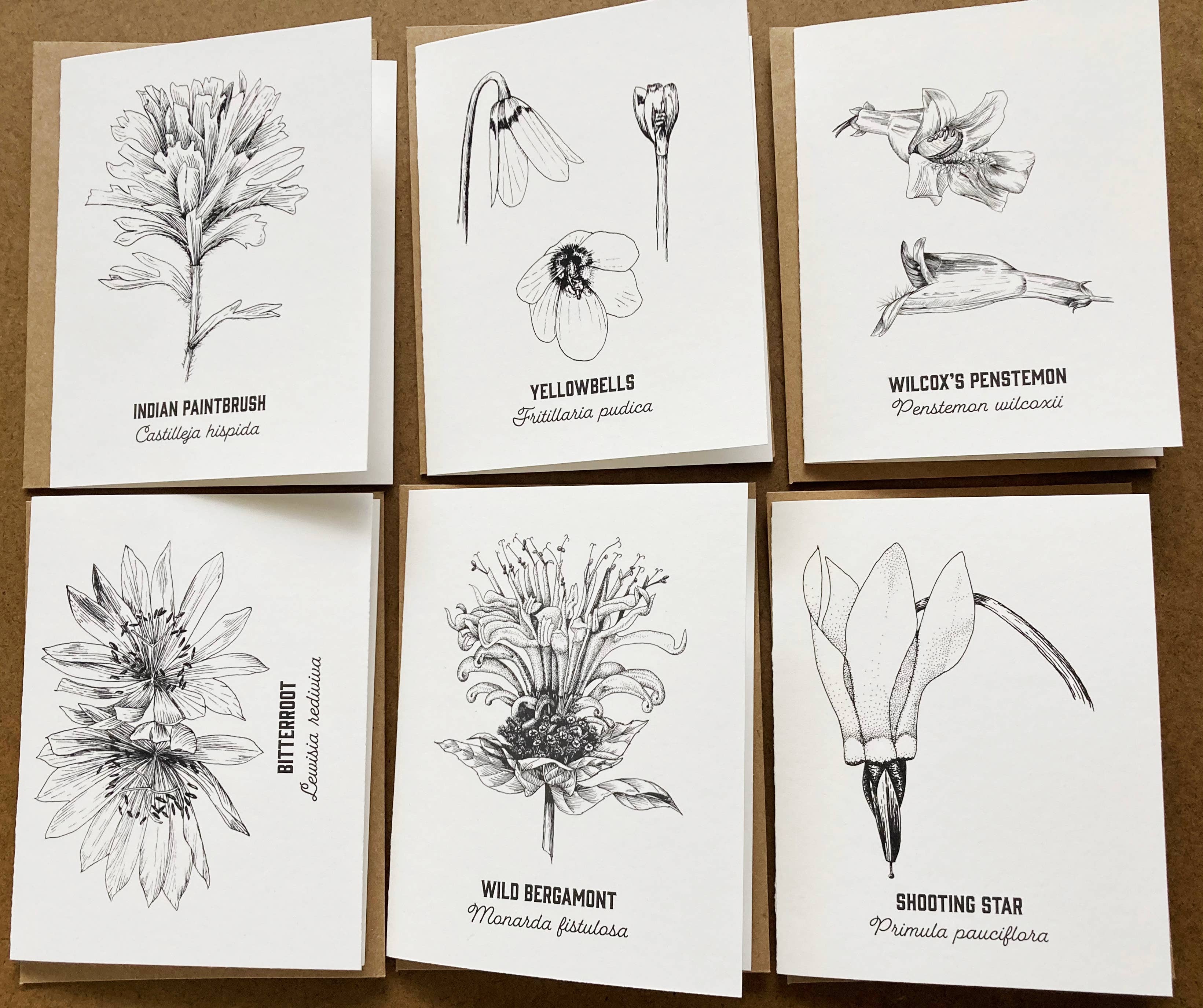 Madrona Press - Wholesale DIY Craft Kit - Watercolor Card Kit - 1 Wildflower Card13