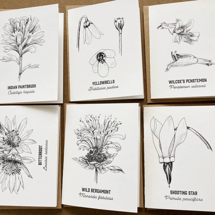 Madrona Press - Wholesale DIY Craft Kit - Watercolor Card Kit - 1 Wildflower Card13