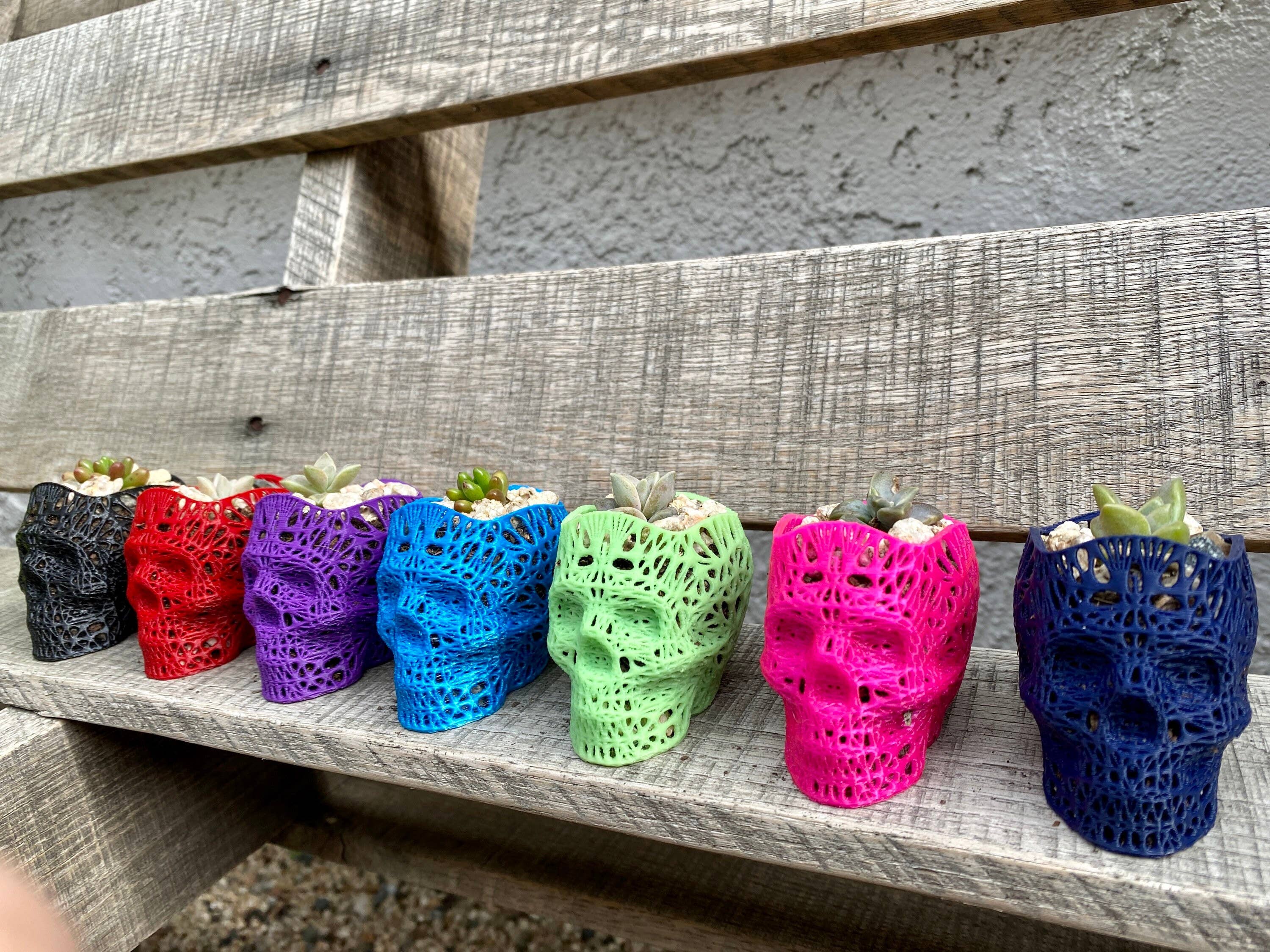 NumanPrints - Wholesale Plant Pot - 3D Printed Succulent Skull Planter Pot Small Indoor4