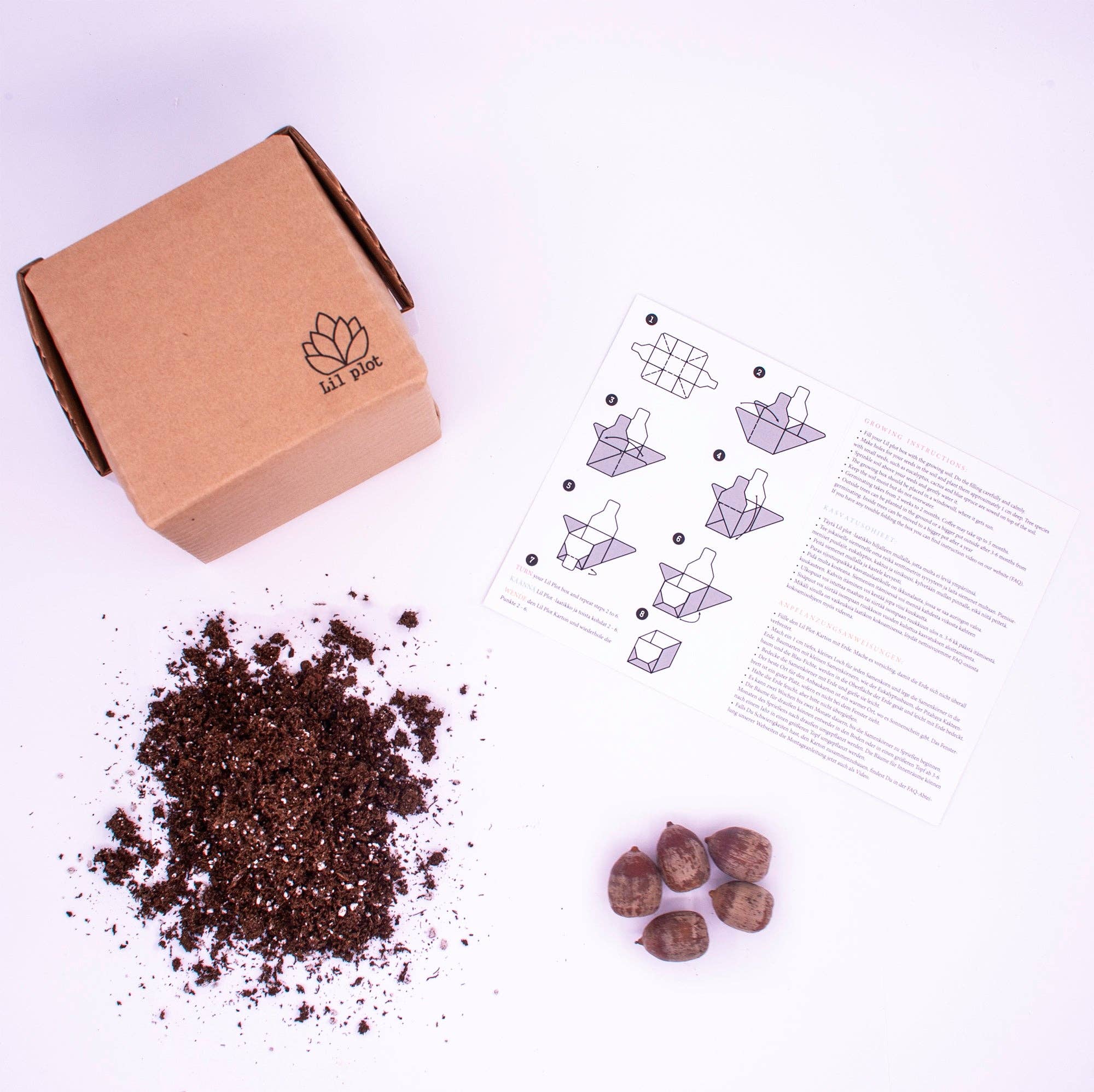 Lil Plot - Wholesale Plant Seeds - Oak Tree Growing Kit3