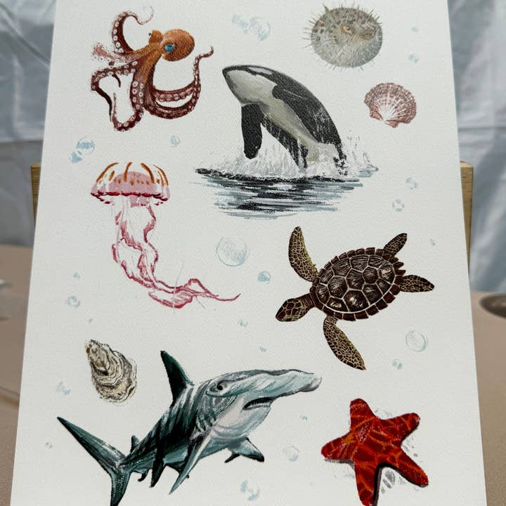 Jasmine Rosie Art - Venta al por mayor Ilustración - Lámina Marine Life