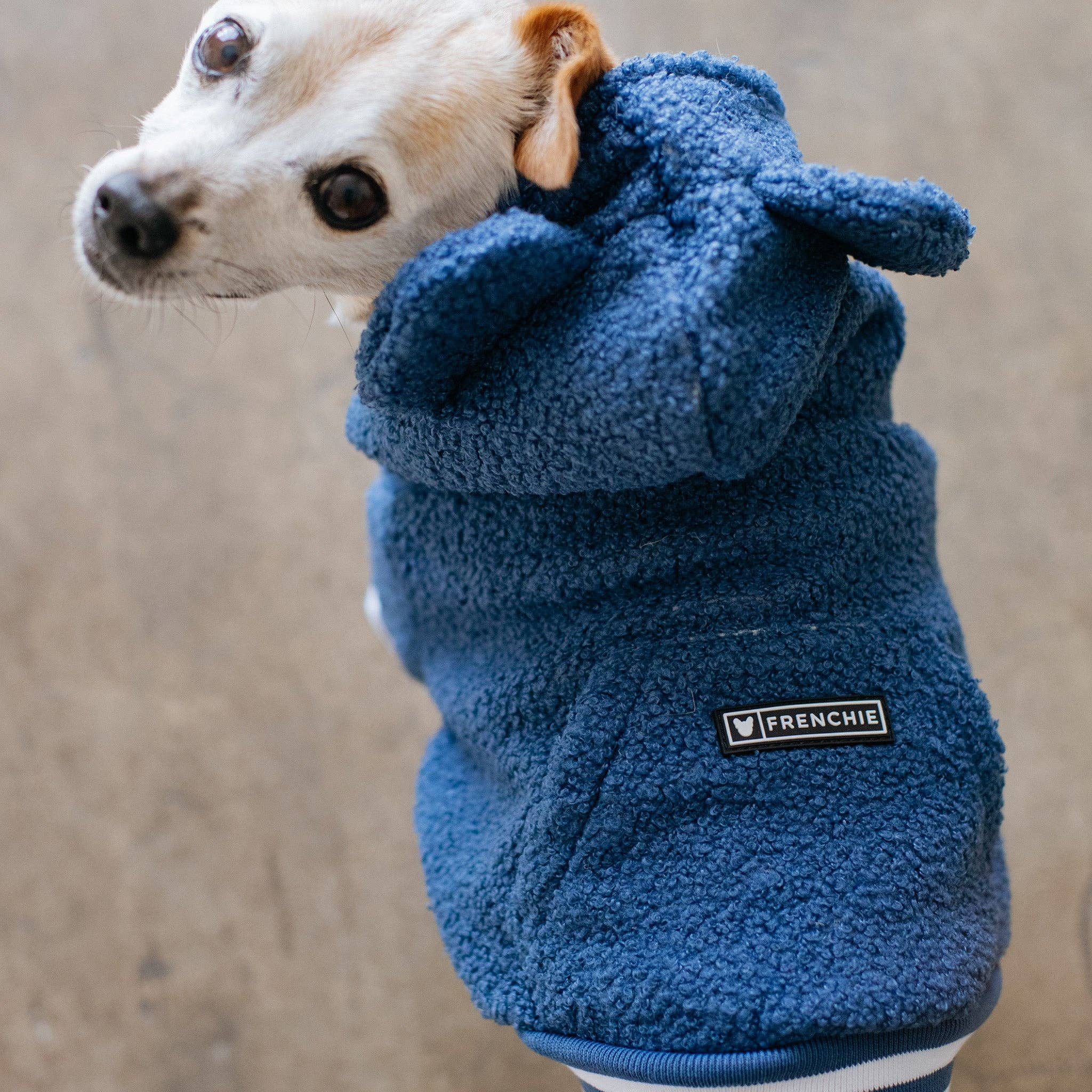 Frenchie - Wholesale Pet Hoodie - Dog - Frenchie Dog Hoodie - Blue Teddy4